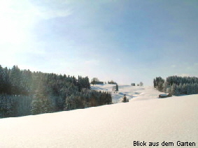 ferienhaus schweiz blick