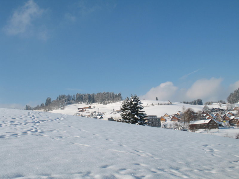 ferienhaus waldstatt 03